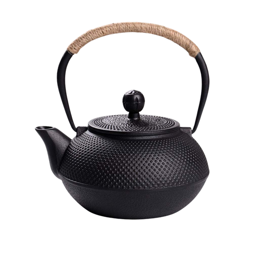 Black Japanese Cast Iron Teapot