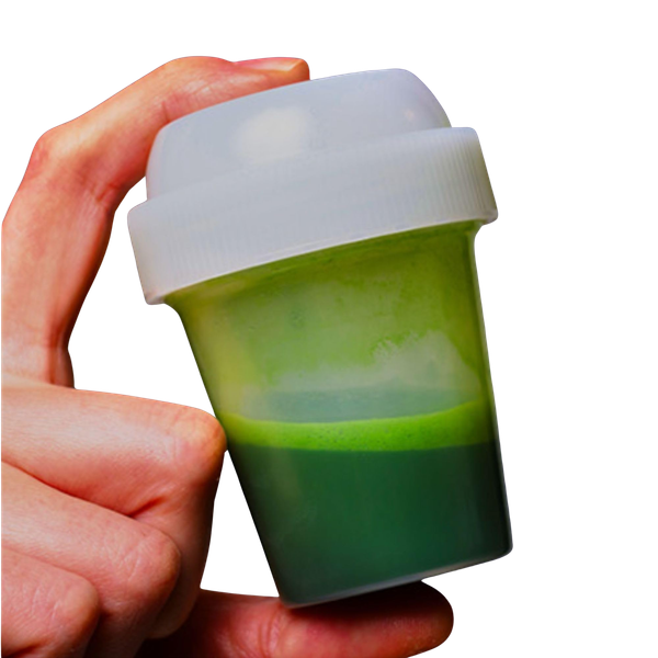 Cold Matcha Shaker