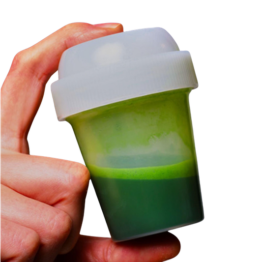 Cold Matcha Shaker